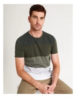 Sahara Block Stripe Tee In Khaki