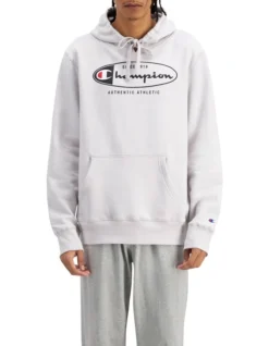 Champion Sporty Hoodie In Grey